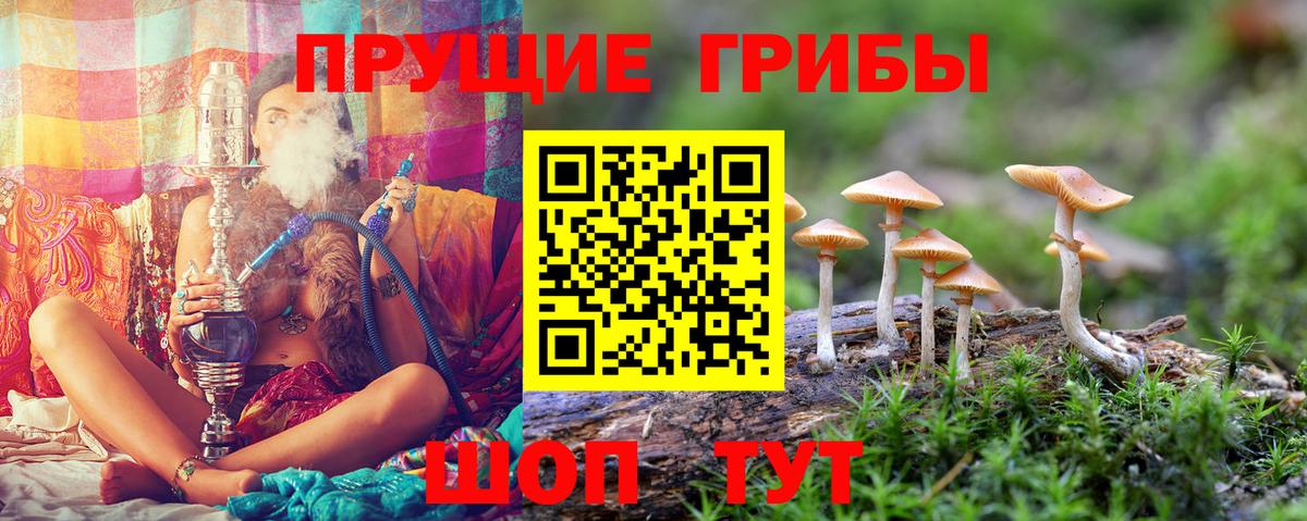 Галлюциногенные грибы мухоморы Ефремов