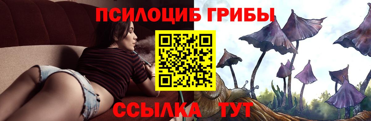 Галлюциногенные грибы Cubensis  Вход с VPN  Галлюциногенные грибы мухоморы  Ефремов 